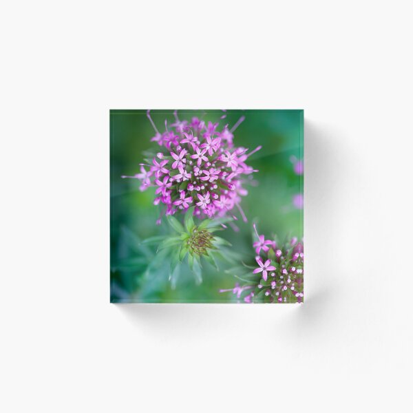 Item preview, Pretty little pink flowers designed and sold by CyaniRose.