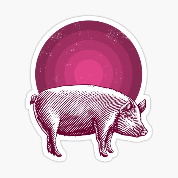 "Pig Colour spectrum " Sticker for Sale by AFellowsFellow Redbubble