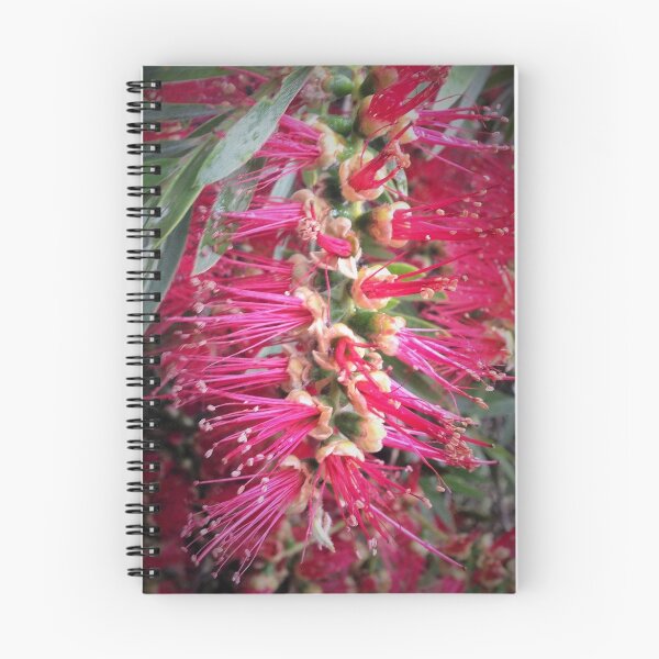Item preview, Australian BottleBrush designed and sold by Jacob Peake.