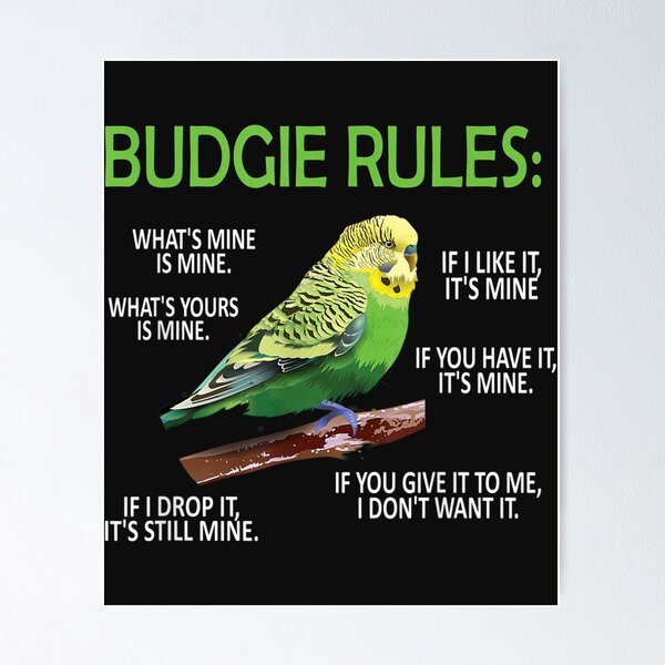 Item preview, Budgie Rules  Budgie Lover Parakeet Bird Budgerigar TShirt88 designed and sold by etamarapk.
