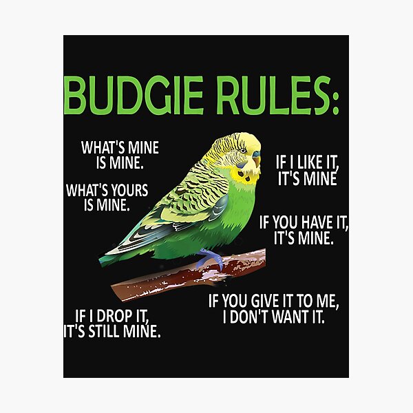 Item preview, Budgie Rules  Budgie Lover Parakeet Bird Budgerigar TShirt88 designed and sold by etamarapk.