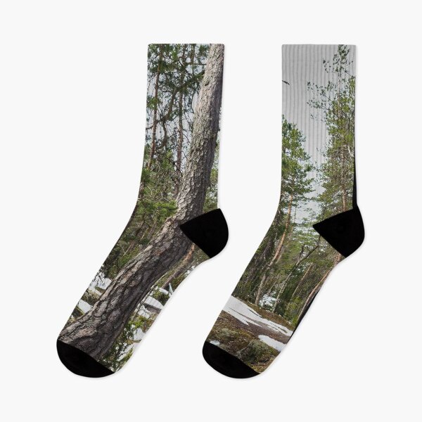 Item preview, Can you see the tower behind the forest c designed and sold by Jouko Lehto Photography.