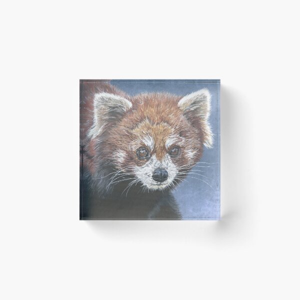 Item preview, Red Panda Face designed and sold by Annagarside.