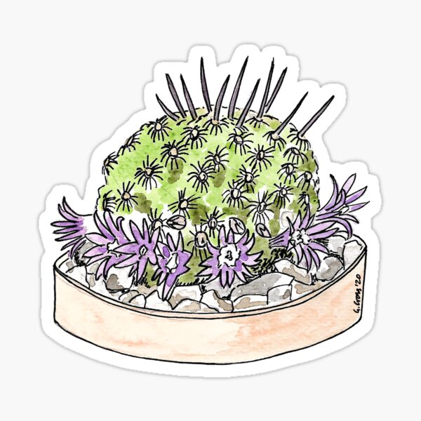 Cactus painting Mammillaria huitzilopochtli Sticker