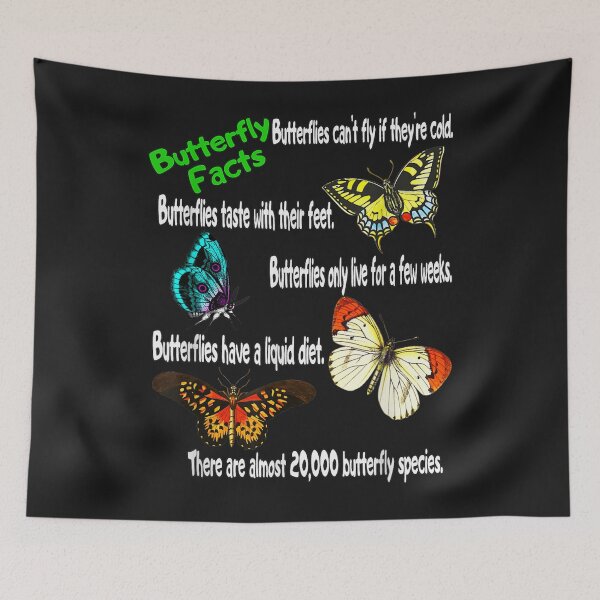 Item preview, Butterfly Facts  Boys Girls Butterflies Lovers Entomology TShirt122 designed and sold by etamarapk.