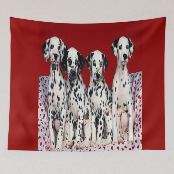 Item preview, Dalmation Photo Shoot designed and sold by julset.