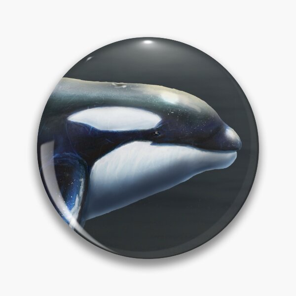 Item preview, Orcinus Orca Restored designed and sold by Thedragonofdoom.