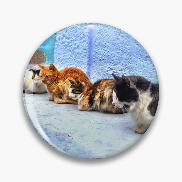 Item preview, Cats of the Blue City, Chefchaouen, Morocco designed and sold by buckal.