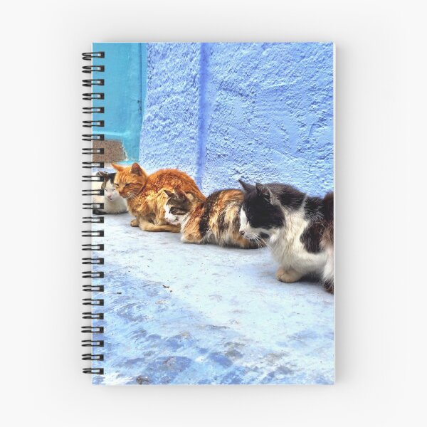 Item preview, Cats of the Blue City, Chefchaouen, Morocco designed and sold by buckal.