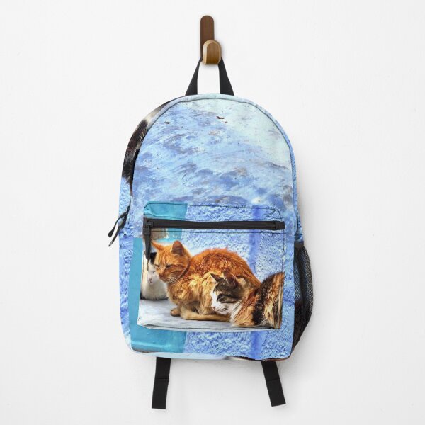 Item preview, Cats of the Blue City, Chefchaouen, Morocco designed and sold by buckal.