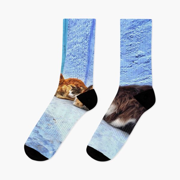Item preview, Cats of the Blue City, Chefchaouen, Morocco designed and sold by buckal.