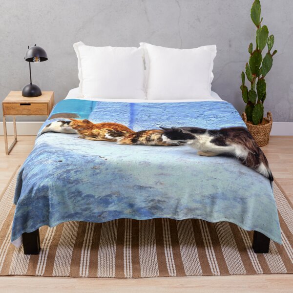 Item preview, Cats of the Blue City, Chefchaouen, Morocco designed and sold by buckal.
