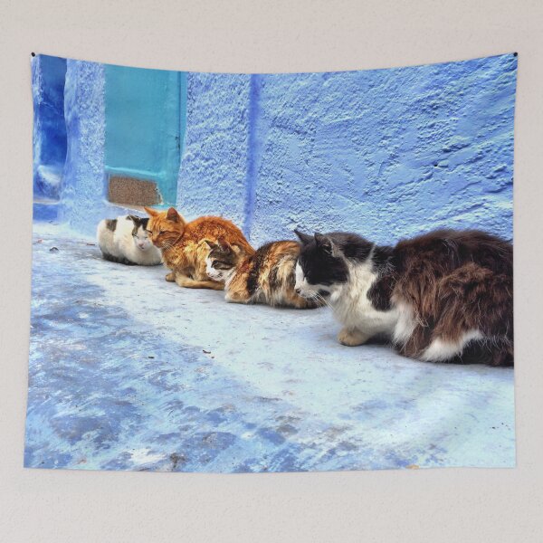 Item preview, Cats of the Blue City, Chefchaouen, Morocco designed and sold by buckal.