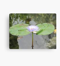 Lily pads and flower Metal Print