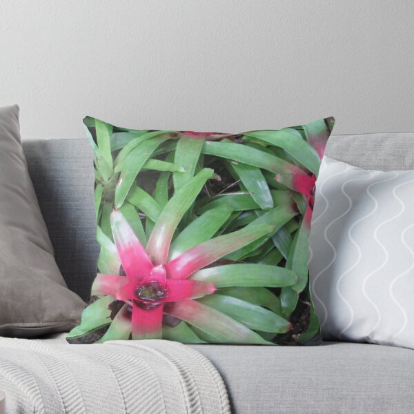 Item preview, Bromeliads designed and sold by Lillydale1.
