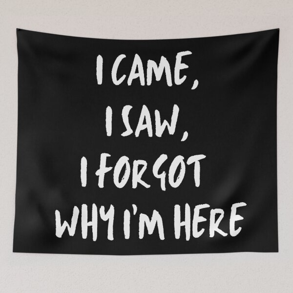 Item preview, I Came, I Saw, I Forgot Why I Came. Forgetful. Memory lapse. designed and sold by JellyBeenzz.