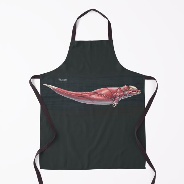 Item preview, Orcinus Orca Muscle Study designed and sold by Thedragonofdoom.