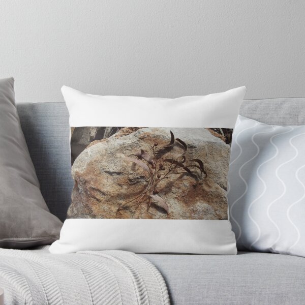 Item preview, Eucalyptus leaves and nuts  designed and sold by Lillydale1.