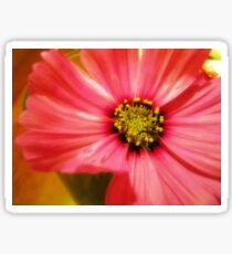 Pink Flower Sticker