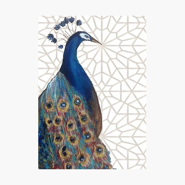 Moroccan Peacock 1 Photographic Print