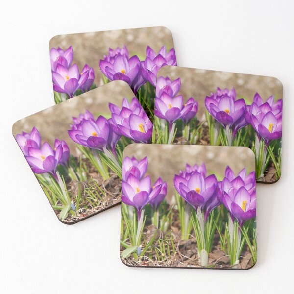 Item preview, Crocuses designed and sold by BRENDA DOHERTY.