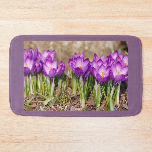 Item preview, Crocuses designed and sold by BRENDA DOHERTY.
