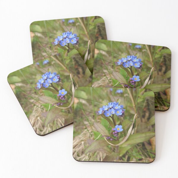 Item preview, Forget-me-nots  designed and sold by LittleBettyMakes.