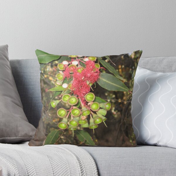 Item preview, Eucalyptus Flowers and pods designed and sold by Lillydale1.