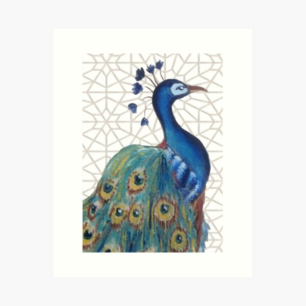 Morocaan peacock 2 Art Print