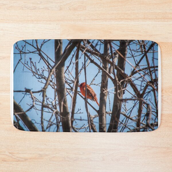 Item preview, Red Cardinal On A Tree Branch designed and sold by Shonti.