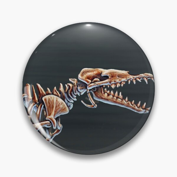 Item preview, Basilosaurus Cetoides Skeletal Study designed and sold by Thedragonofdoom.