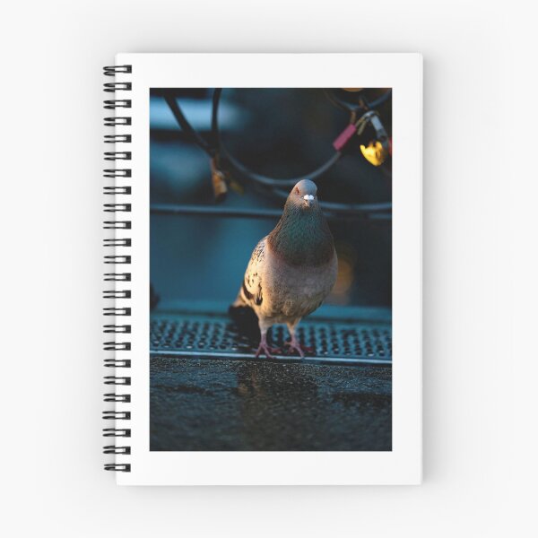 Item preview, Beautiful Dove, White Dove Bird, Beautiful Bird, Beautiful Dove Birds, Dove, Bird, Birds, Dove Bird, Beautiful Birds designed and sold by bujji4frinds.