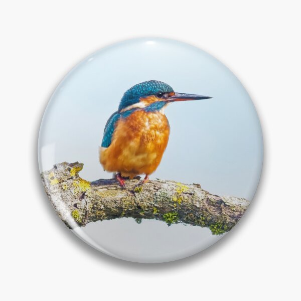 Item preview, Kingfisher designed and sold by Ian Merton.