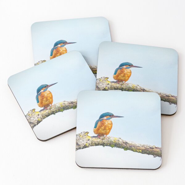 Item preview, Kingfisher designed and sold by Ian Merton.