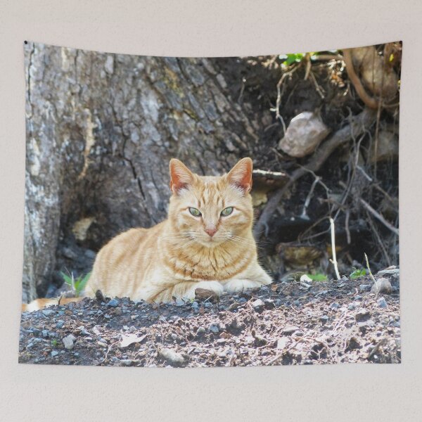 Item preview, Pughead Tommy designed and sold by Frankie Cat Photography.