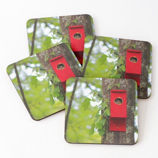 Item preview, Who's in the house? designed and sold by Nicholas Jager.