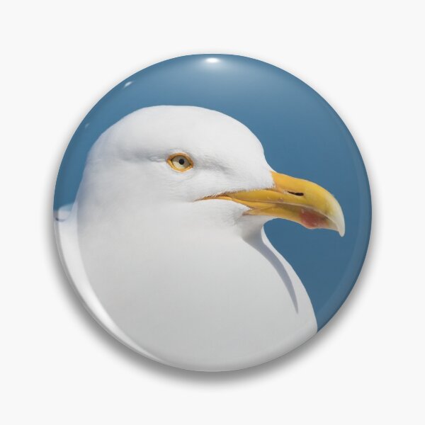 Item preview, Herring Gull designed and sold by LaurenTucker.