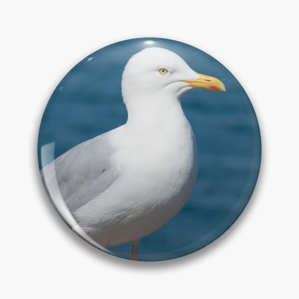 Item preview, Herring Gull designed and sold by LaurenTucker.