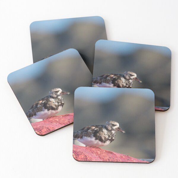 Item preview, Turnstone designed and sold by LaurenTucker.