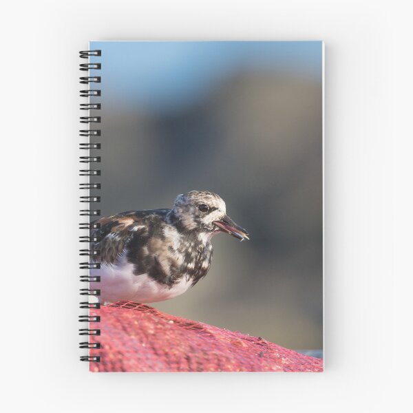 Item preview, Turnstone designed and sold by LaurenTucker.