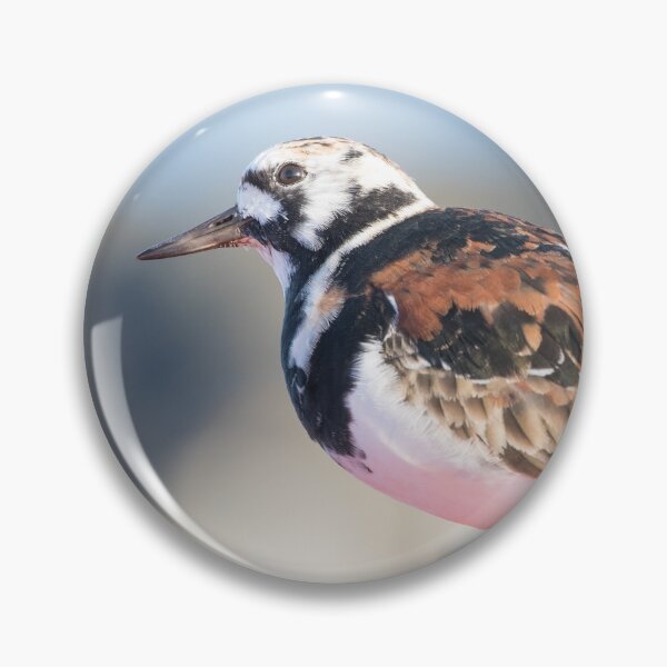 Item preview, Turnstone designed and sold by LaurenTucker.