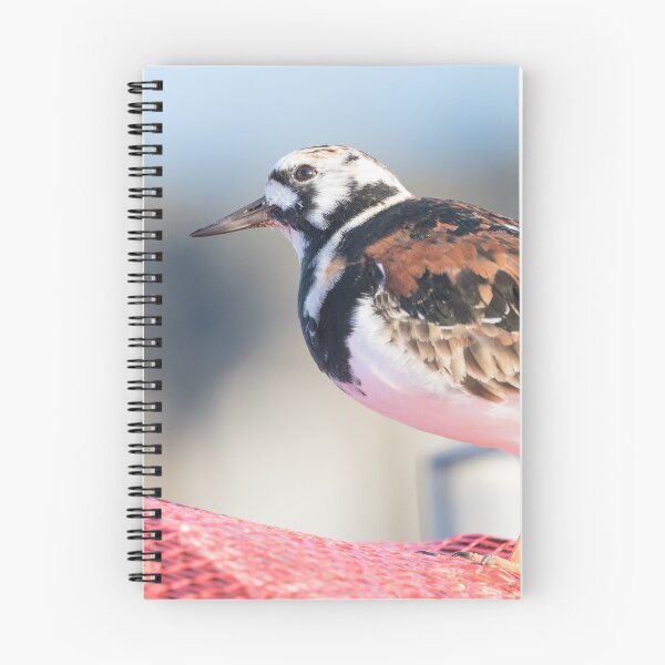 Item preview, Turnstone designed and sold by LaurenTucker.
