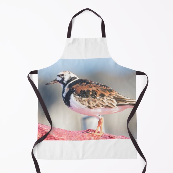 Item preview, Turnstone designed and sold by LaurenTucker.