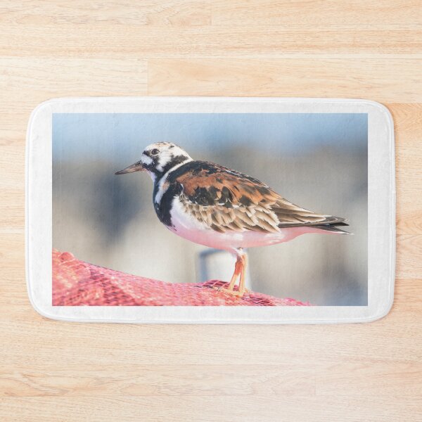 Item preview, Turnstone designed and sold by LaurenTucker.