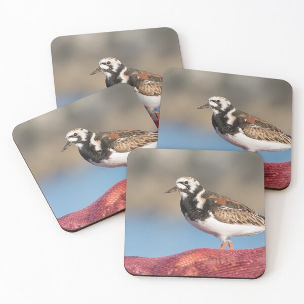 Item preview, Turnstone designed and sold by LaurenTucker.
