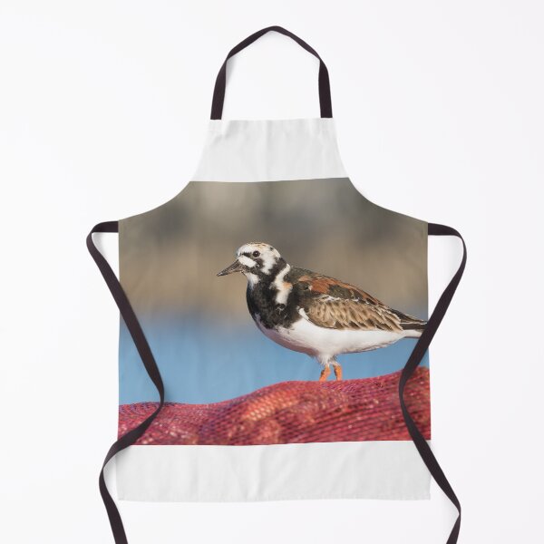 Item preview, Turnstone designed and sold by LaurenTucker.