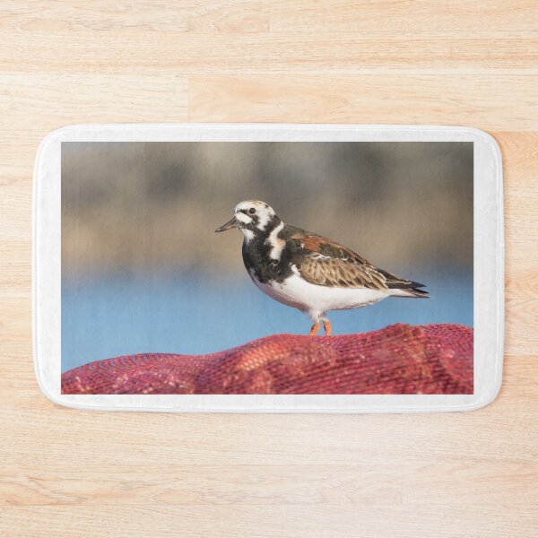 Item preview, Turnstone designed and sold by LaurenTucker.