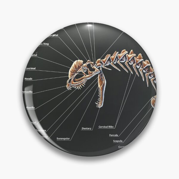 Item preview, Dilophosaurus Wetherilli Skeleton Study designed and sold by Thedragonofdoom.