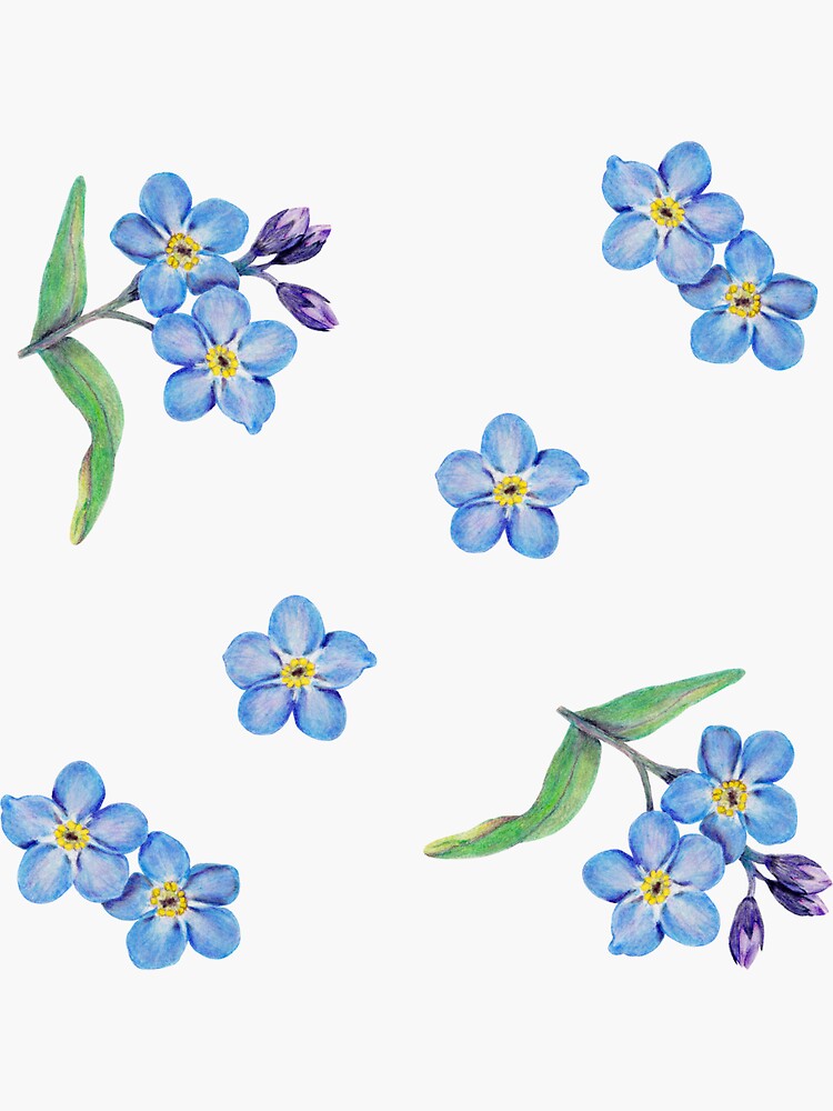 Never Forget Me Flower Tattoo | TikTok