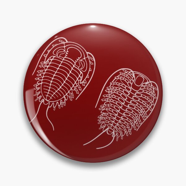 Item preview, White Line Drawing of Phacopid Trilobite designed and sold by taylorcustom.